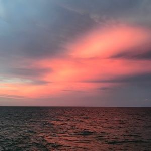 Meet your Posher, Arleen